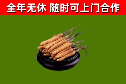 六枝特区烟酒回收冬虫夏草.jpg