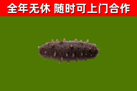 六枝特区烟酒回收干海参.jpg